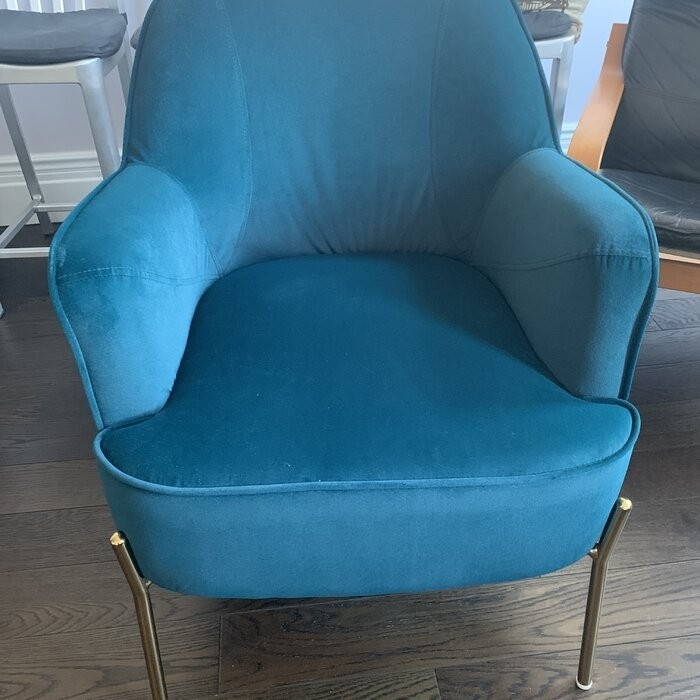 Cleo 26'' Wide Velvet Armchair