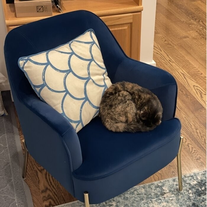 Cleo 26'' Wide Velvet Armchair