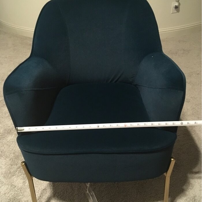 Cleo 26'' Wide Velvet Armchair