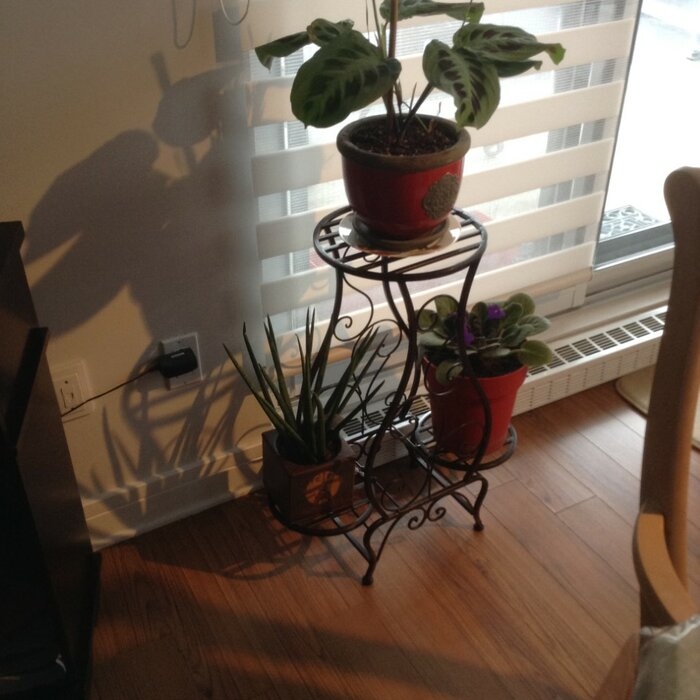 Costner Free Form Etagere Plant Stand