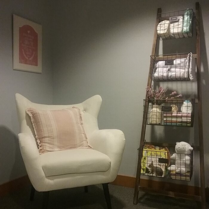 Danney 30'' Wide Tufted Velvet Wingback Chair