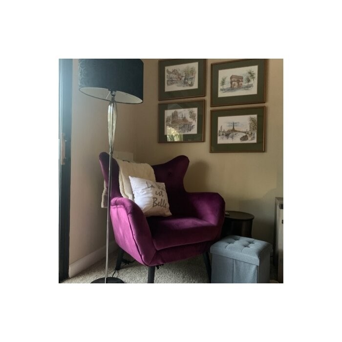 Danney 30'' Wide Tufted Velvet Wingback Chair
