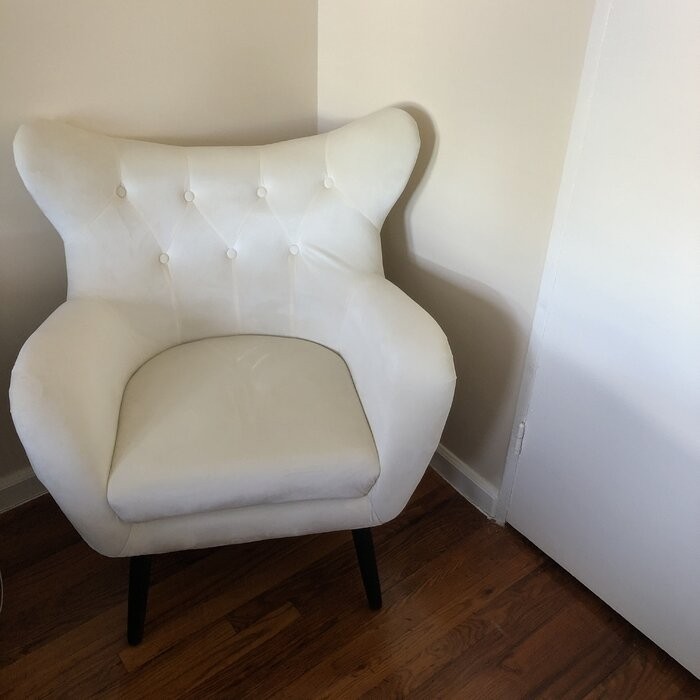 Danney 30'' Wide Tufted Velvet Wingback Chair
