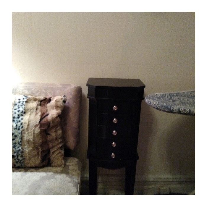 Dario 11.75'' Wide Jewelry Armoire with Mirror