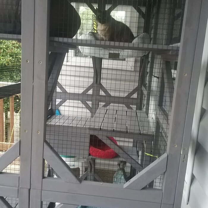 DeKalb Catio Portable Outdoor Playpen with Door