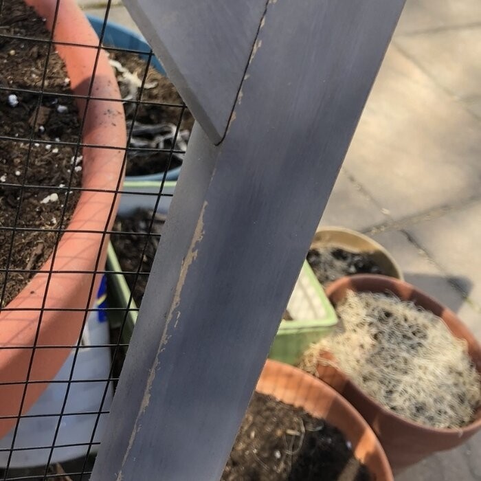 DeKalb Catio Portable Outdoor Playpen with Door