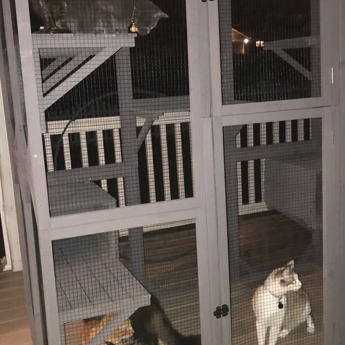DeKalb Catio Portable Outdoor Playpen with Door