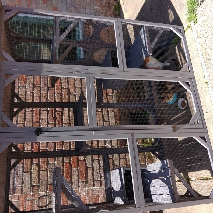 DeKalb Catio Portable Outdoor Playpen with Door
