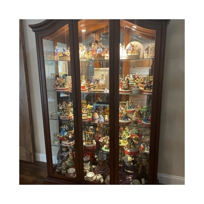 Elrosa 55'' Wide Mirrored Back Curio Cabinet with Lighting