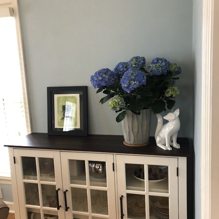 Eltingville 55'' Wide Sideboard