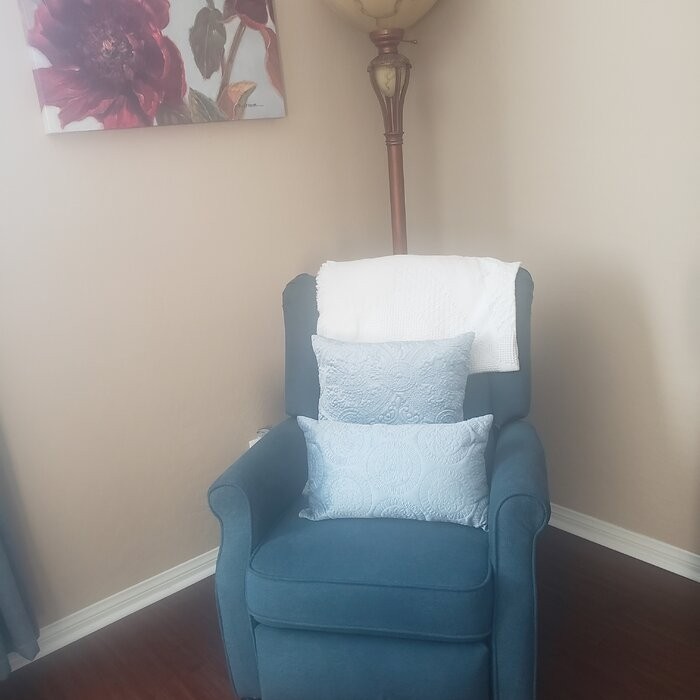 Emina 29.13'' Wide Manual Ergonomic Recliner