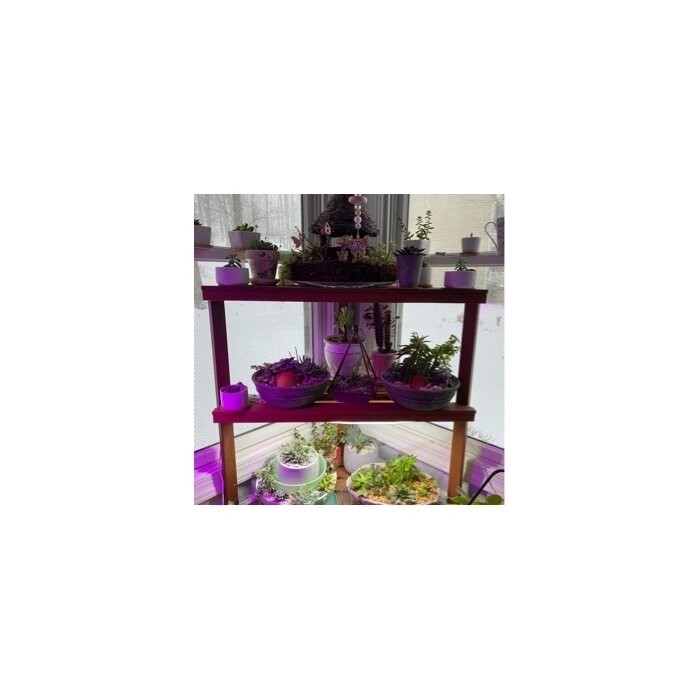 Fallah Triangular Corner Solid Wood Plant Stand