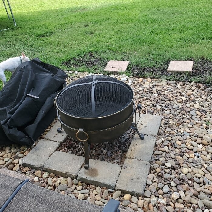 Flanigan 23'' H Steel Outdoor Fire Pit