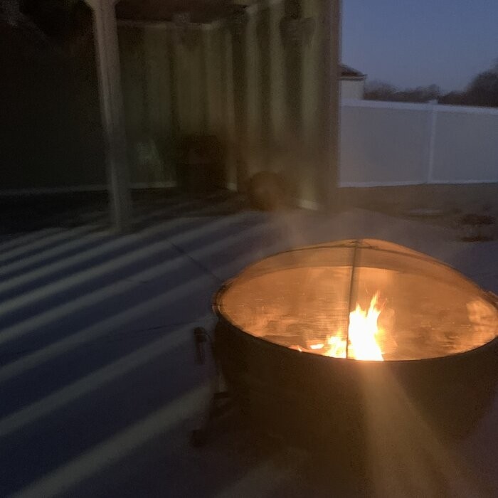 Flanigan 23'' H Steel Outdoor Fire Pit