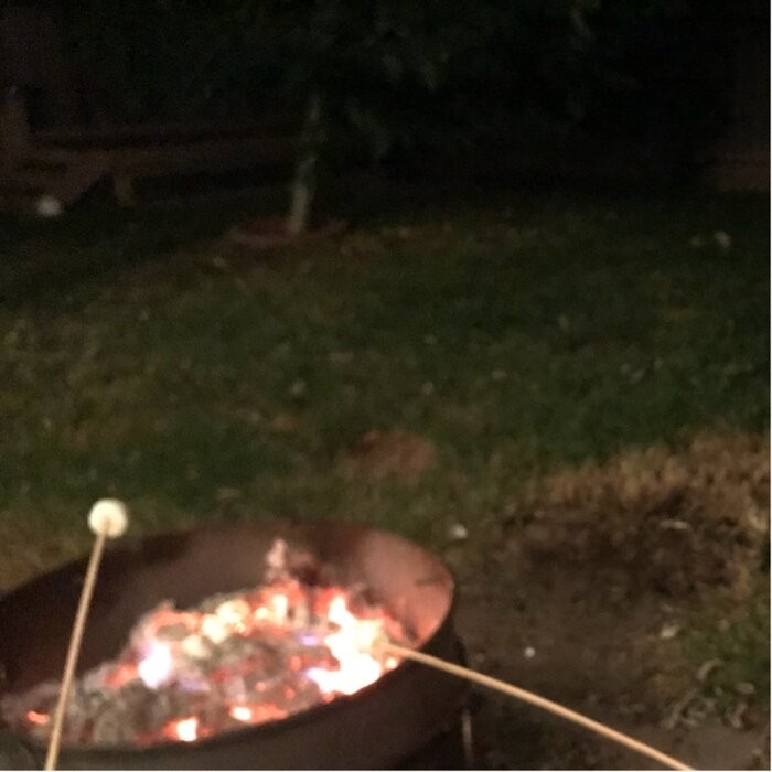 Flanigan 23'' H Steel Outdoor Fire Pit