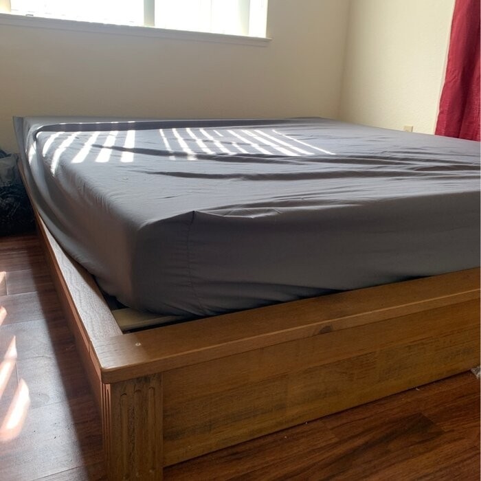 Forster 8.94'' Bed Frame