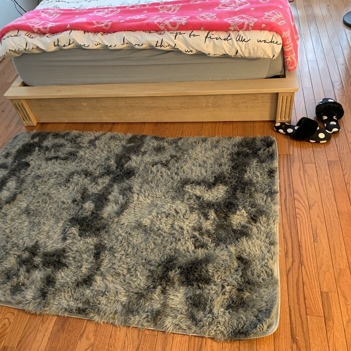 Forster 8.94'' Bed Frame