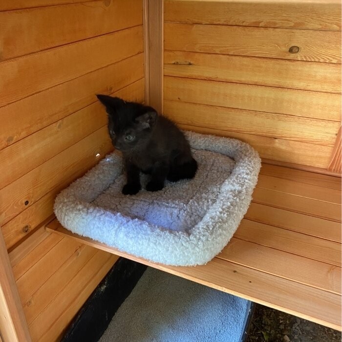 Frankie Outdoor Playpen