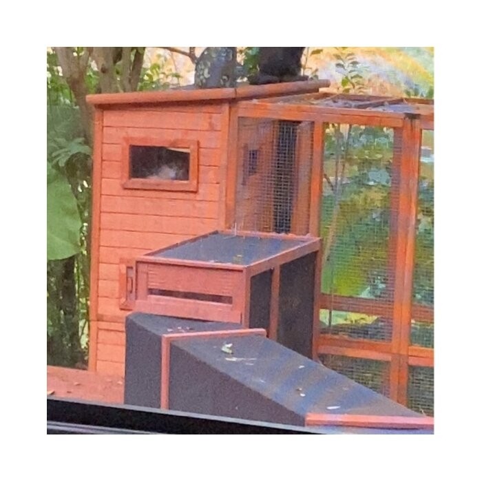 Frankie Outdoor Playpen