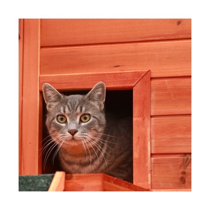 Frankie Outdoor Playpen