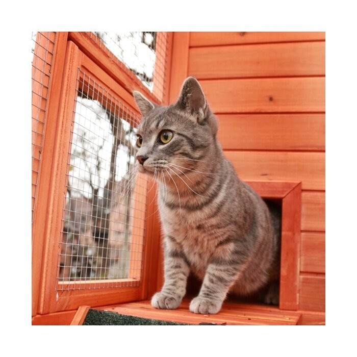 Frankie Outdoor Playpen