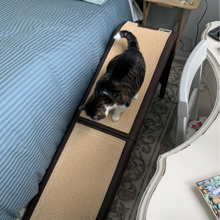 Free Standing 56" Pet Ramp