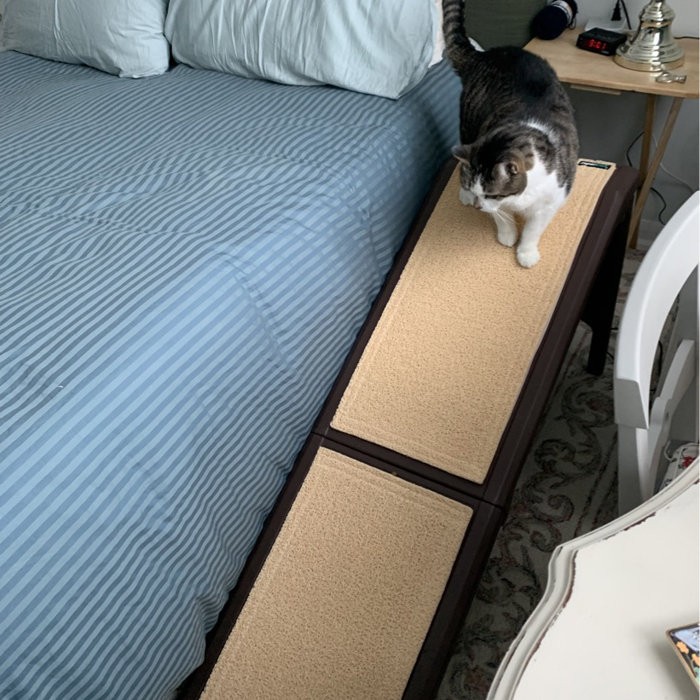 Free Standing 56" Pet Ramp