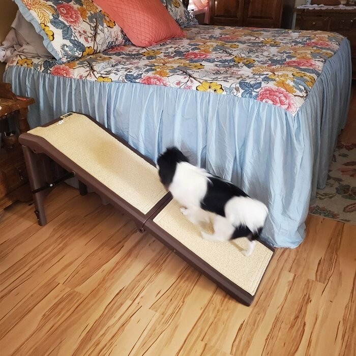 Free Standing 56" Pet Ramp