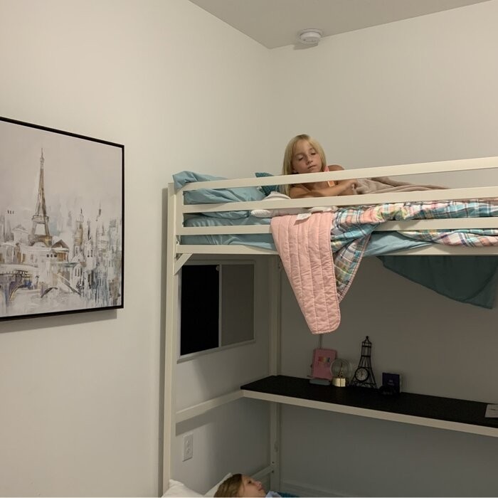 Furse Metal Loft Bed with Built-in-Desk by Isabelle & Max™