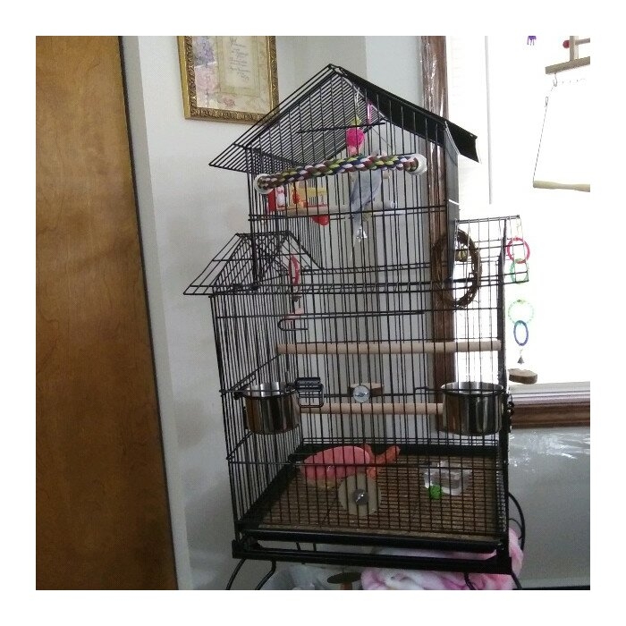 Modern Bird Cages - Ideas On Foter