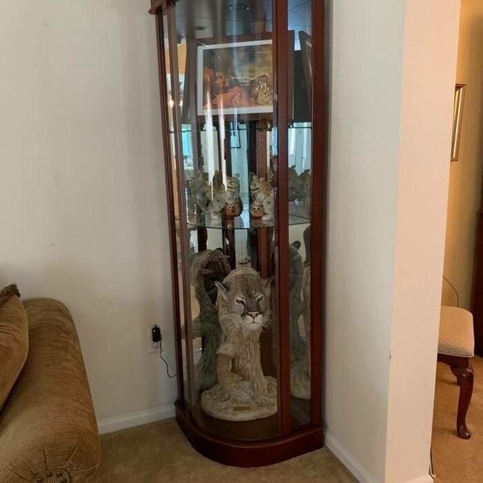 Galghard 32'' Wide Solid Wood Mirrored Back Curio Cabinet with Lighting