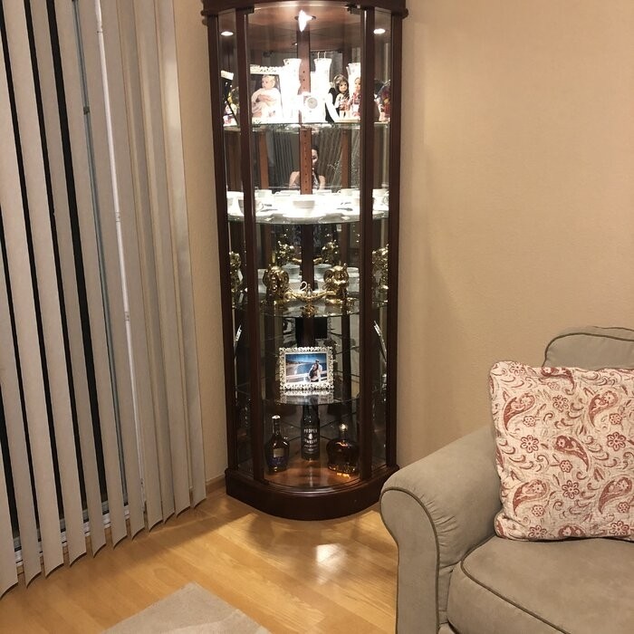 Galghard 32'' Wide Solid Wood Mirrored Back Curio Cabinet with Lighting