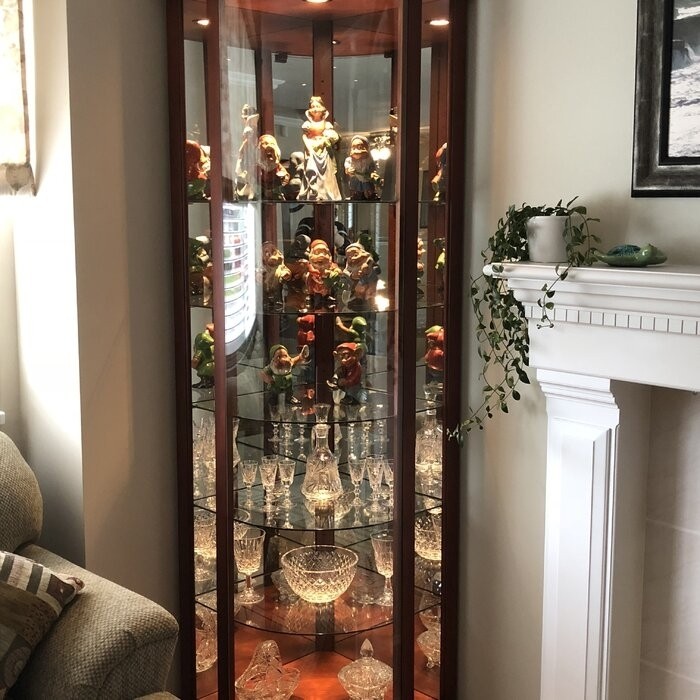 Galghard 32'' Wide Solid Wood Mirrored Back Curio Cabinet with Lighting