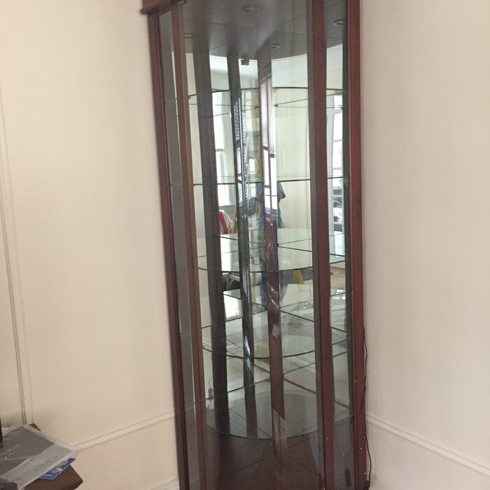Galghard 32'' Wide Solid Wood Mirrored Back Curio Cabinet with Lighting