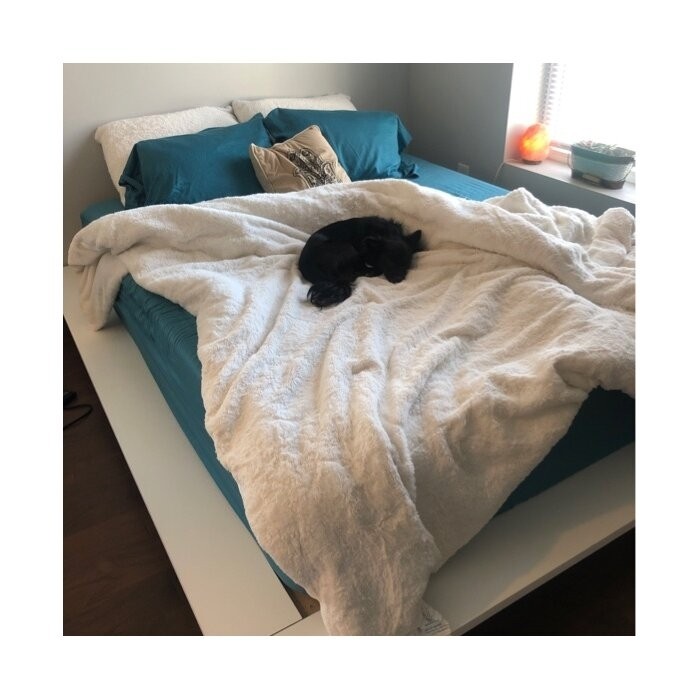 Galnares Low Profile Bed