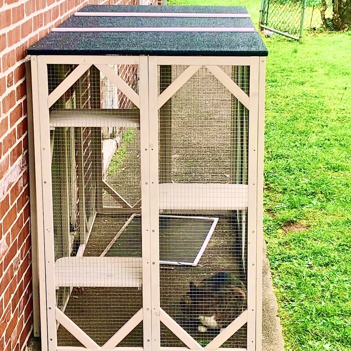 Outdoor Cat Playpen - Ideas On Foter