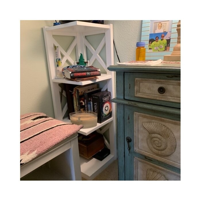 General Delivery 38.66'' H x 12.04'' W Corner Bookcase