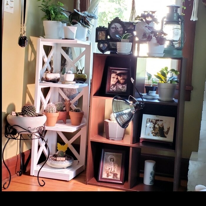 General Delivery 38.66'' H x 12.04'' W Corner Bookcase