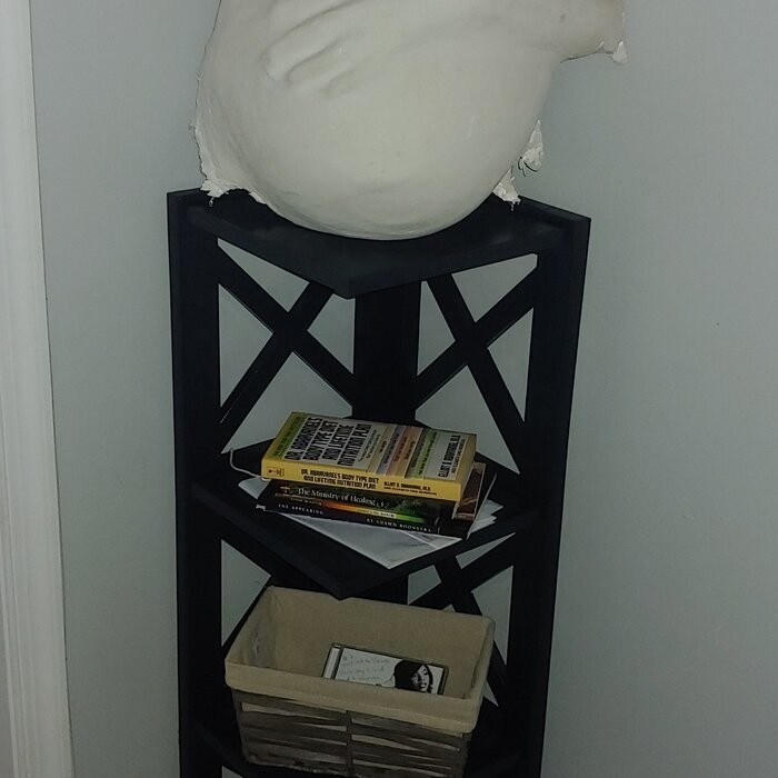 General Delivery 38.66'' H x 12.04'' W Corner Bookcase