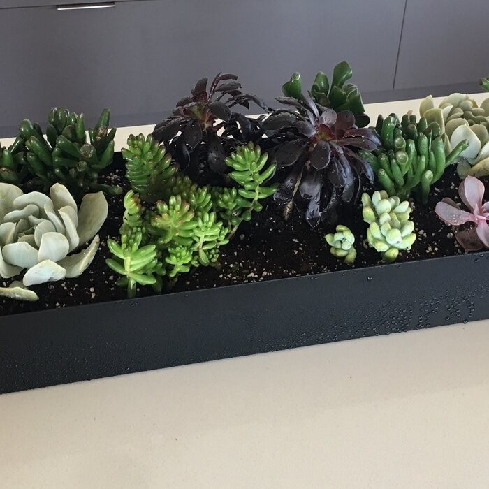 Geo Series Galvanized Steel Planter Box