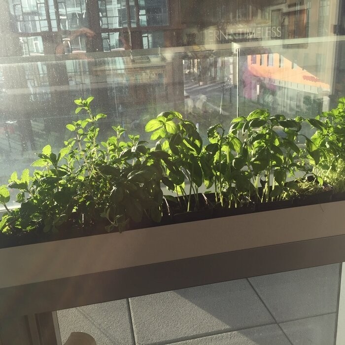 Geo Series Galvanized Steel Planter Box