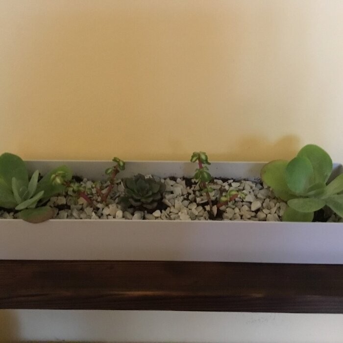 Geo Series Galvanized Steel Planter Box