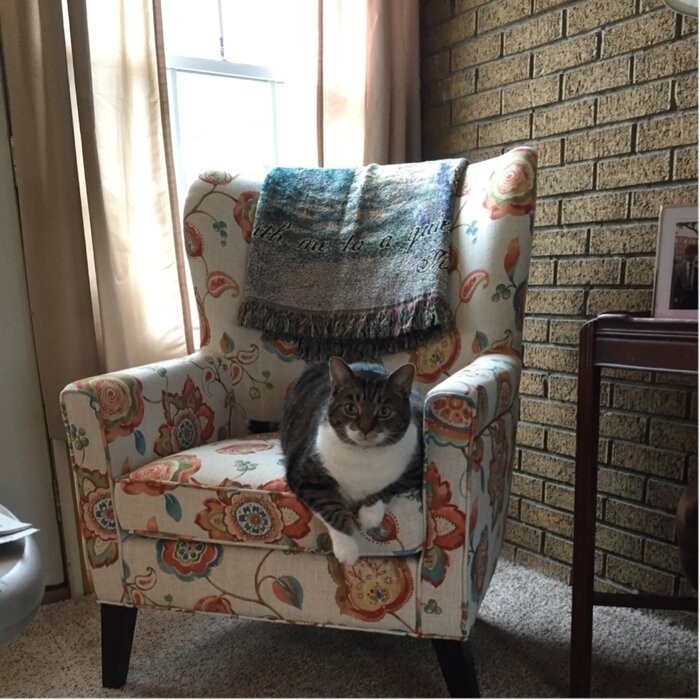 Gilyard 30.25'' Wide Armchair