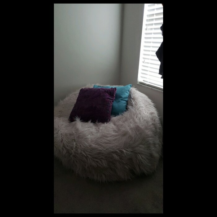 Chic Giant Fluffy Bag - Designer Review & Photos