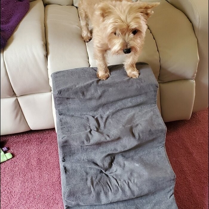 Grommit High Density Foam 4 Step Pet Stair