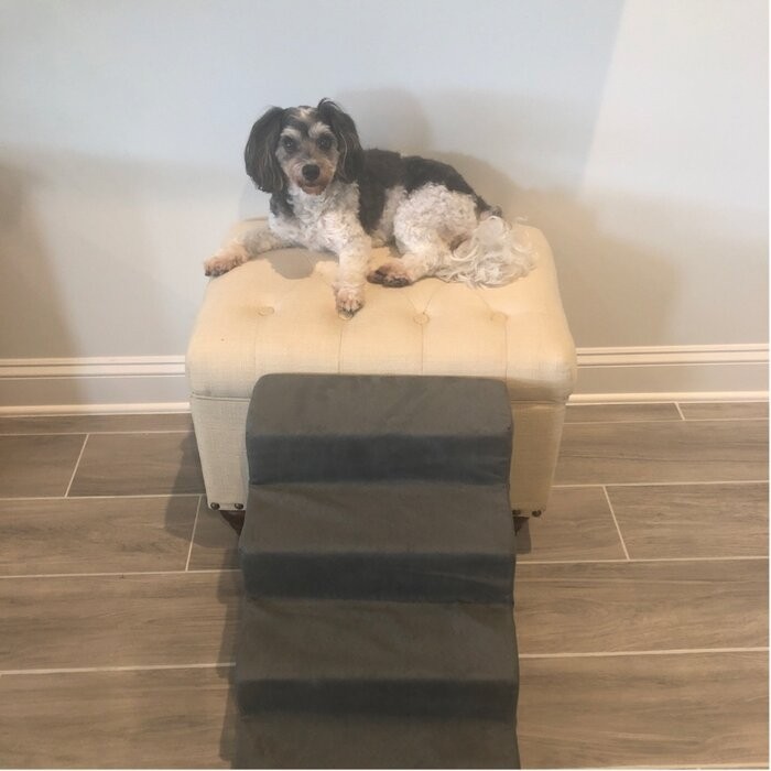 Grommit High Density Foam 4 Step Pet Stair