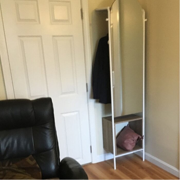Hanner 18.74'' Wide Hall Tree with Shoe Storage