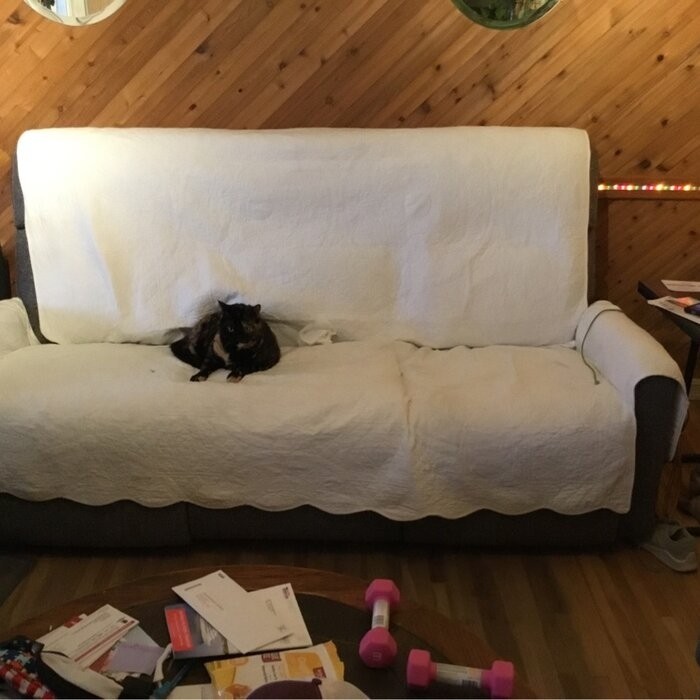 Heirloom Quilted Box Cushion Sofa Slipcover