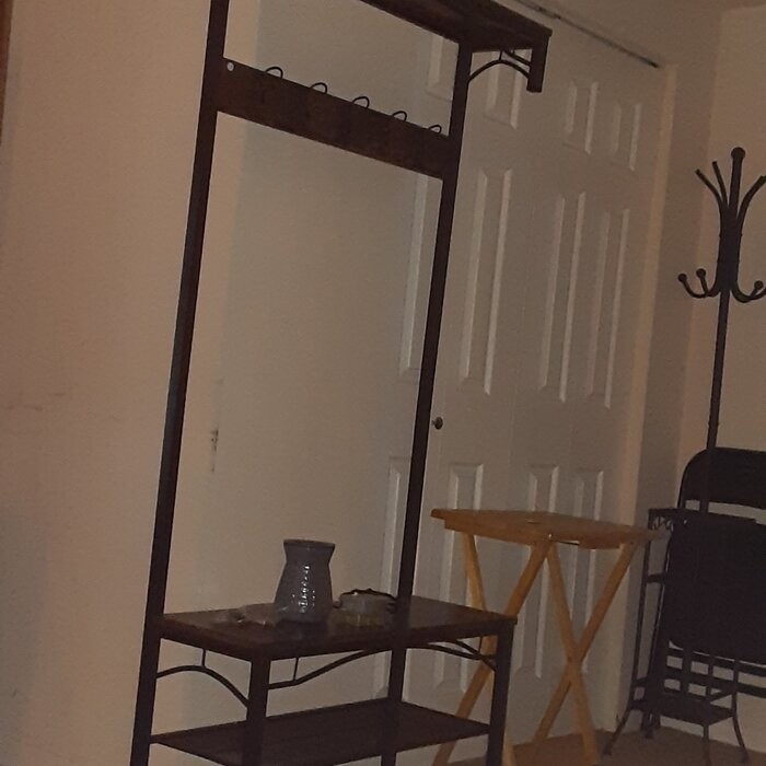 Hervey 31.5'' Wide Freestanding Coat Rack with Storage in Brown/Black