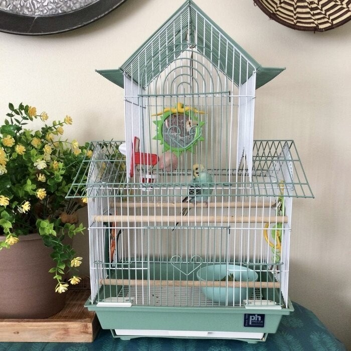 Higbee 22'' Plastic Pointed Top Hanging Bird Cage with Perch